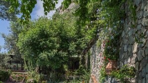 A swimming pool with clear blue water, surrounded by lush greenery and stone walls.