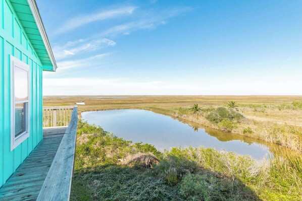 المنطقة المحيطة بالمنشأة