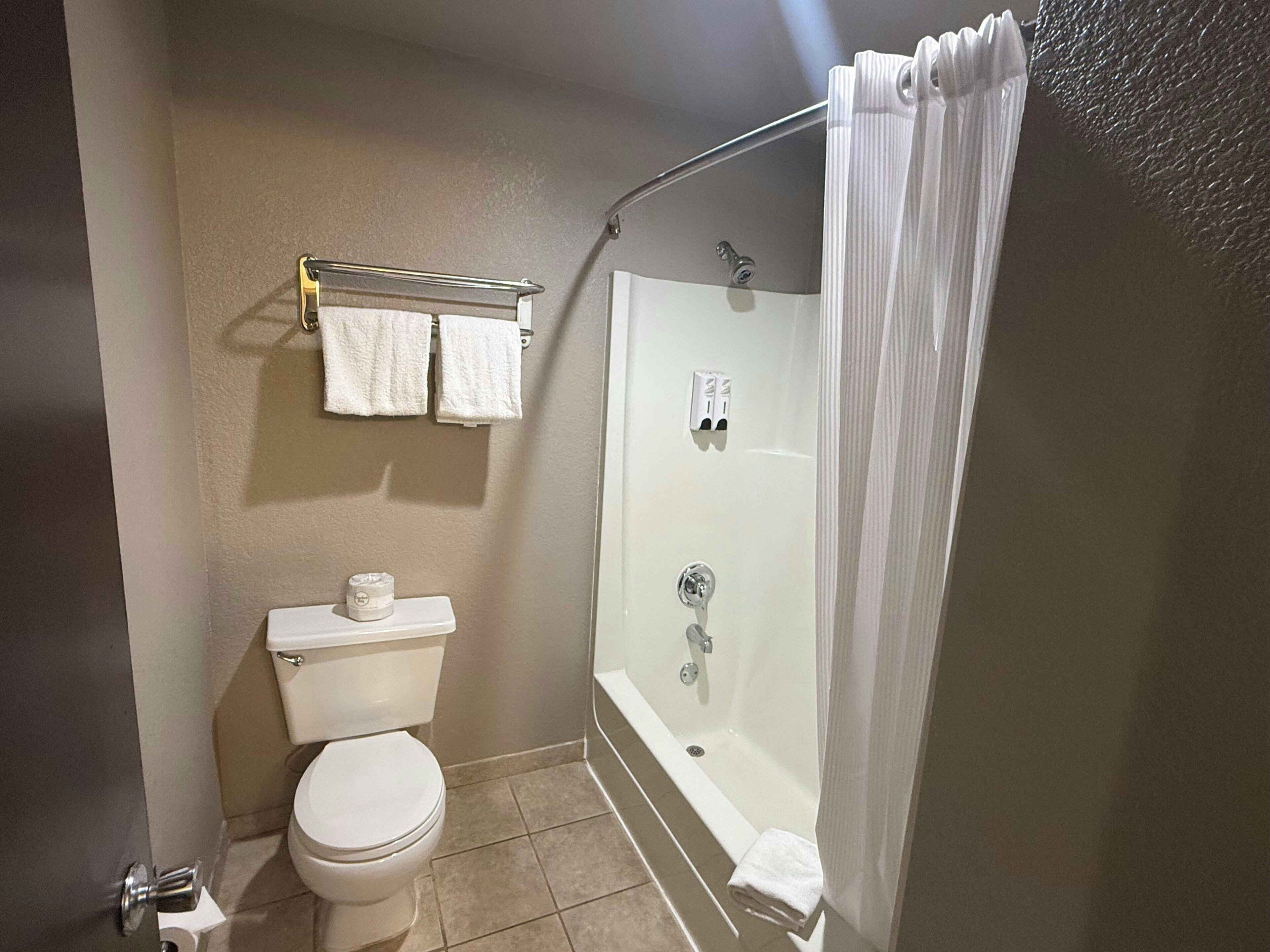 Combined shower/tub, free toiletries, hair dryer, towels