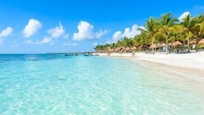 Ein Strand mit klarem türkisblauem Wasser, Palmen und einem sandigen Ufer.