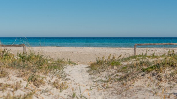 A beach with a sandy shore and a wooden fence in the foreground.