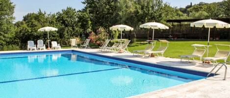 Une piscine rectangulaire à l’eau d’un bleu cristallin, entourée de chaises longues blanches et de parasols.