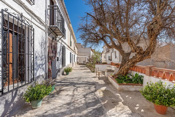 Terrein van de accommodatie