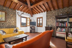 TV, fireplace, DVD player