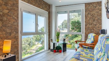 Televisión, reproductor de DVD, mesa de ping pong