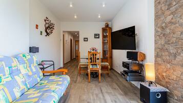 Televisie, een dvd-speler en een tafeltennistafel