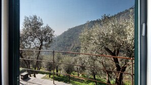A balcony with a view of olive trees and a hilly landscape. - Apartment 'Ca' Dû Massunin' with Sea View, Wi-Fi and Air Conditioning (Recco)