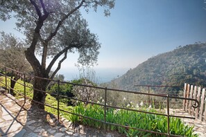 Property grounds - Apartment 'Ca' Dû Massunin' with Sea View, Wi-Fi and Air Conditioning (Recco)