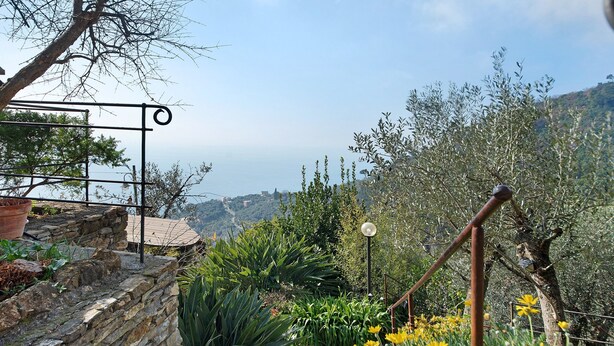 A stone staircase with a metal railing, surrounded by greenery and yellow flowers. - Apartment 'Ca' Dû Massunin' with Sea View, Wi-Fi and Air Conditioning (Recco)