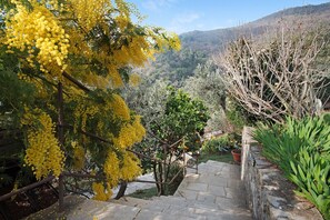 Property grounds - Apartment 'Ca' Dû Massunin' with Sea View, Wi-Fi and Air Conditioning (Recco)