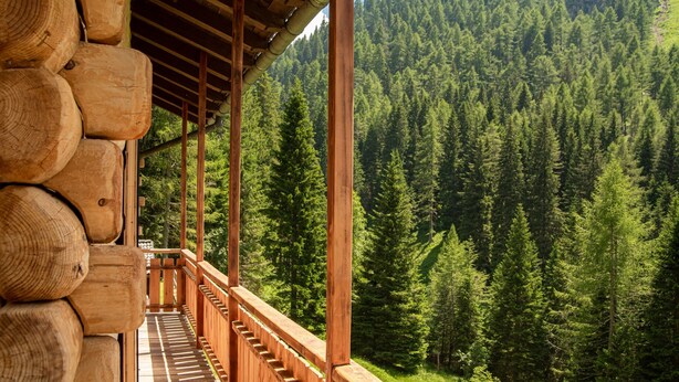 Eine Holzhütte mit einem Balkon mit Blick auf einen dichten Wald.