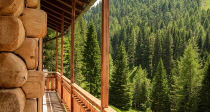 Chalet "Baita dei Minatori Val dei Mocheni" with Mountain View, Private Terrace & Wi-Fi