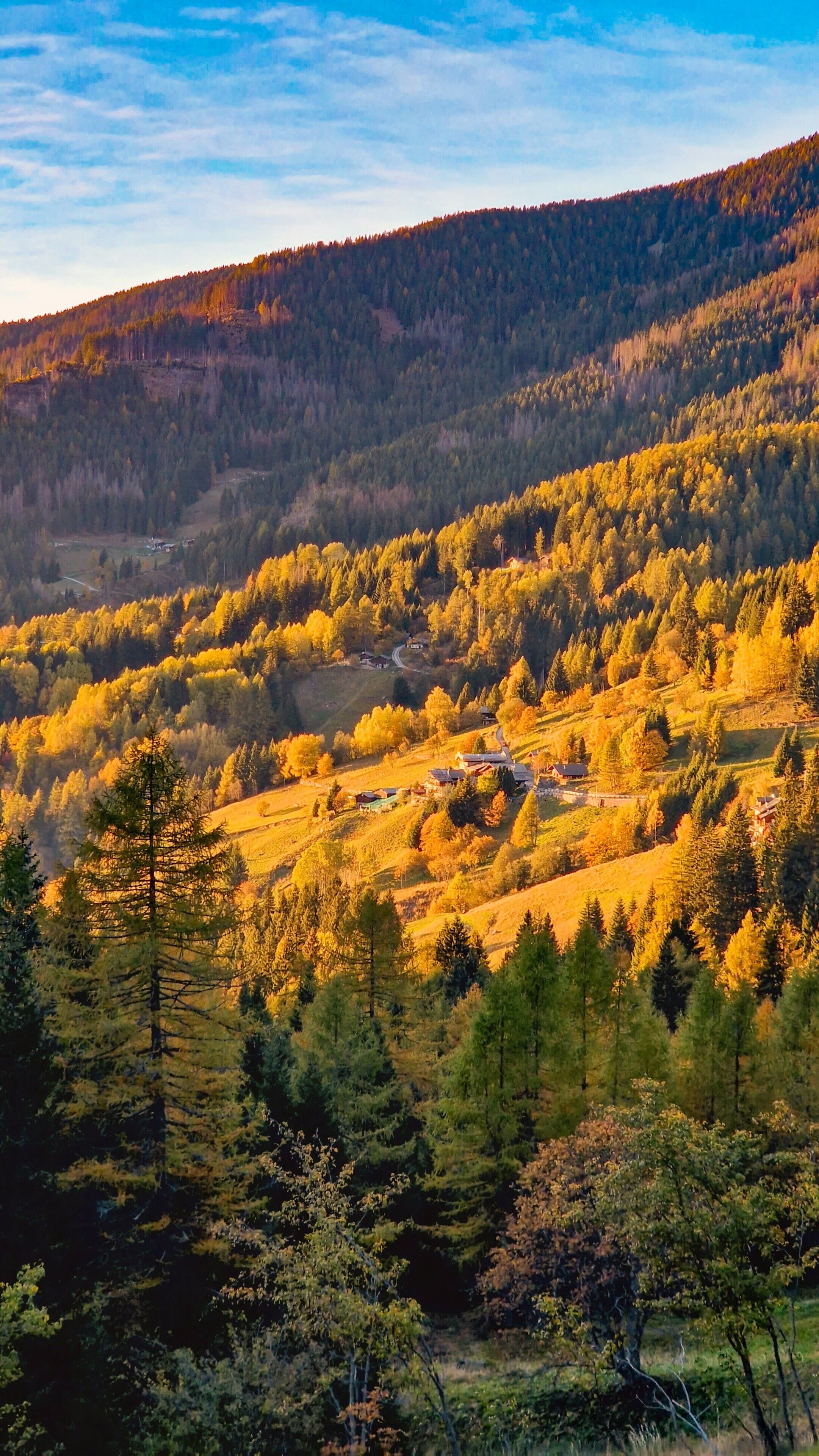A mountainous landscape with dense forest and a winding road.