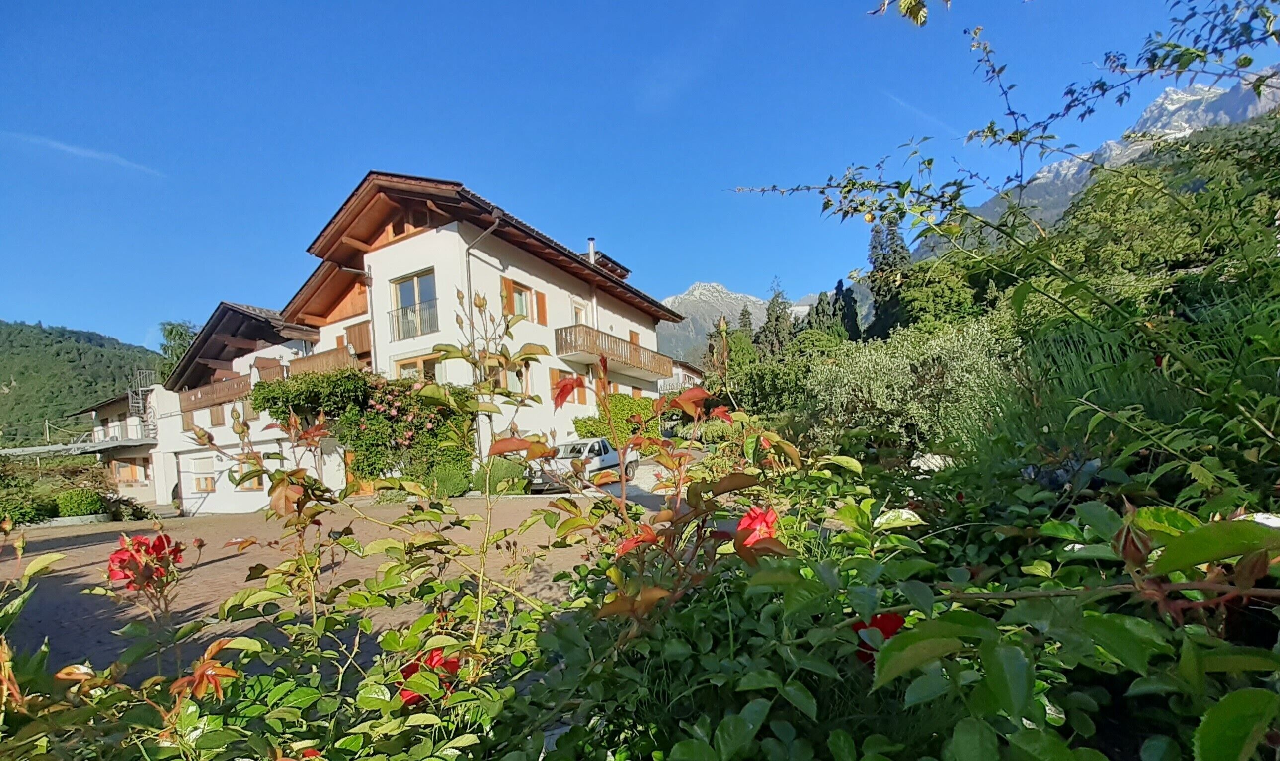 Parco della struttura