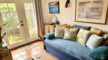 Smart TV, DVD player, books, video library