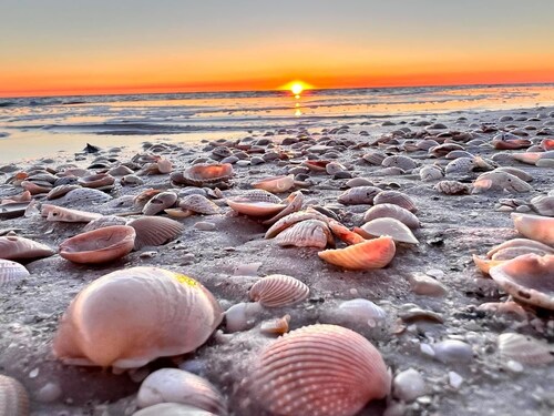 "Georgia Sand" is 600 steps to the beach! This 2BD/2BA adorable cottage sleeps 8!