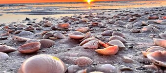 "Georgia Sand" is 600 steps to the beach! This 2BD/2BA adorable cottage sleeps 8!