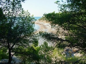 Un paysage côtier avec des arbres et une plage.