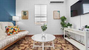 Televisión 49 pulgadas con canales de televisión digitales, libros