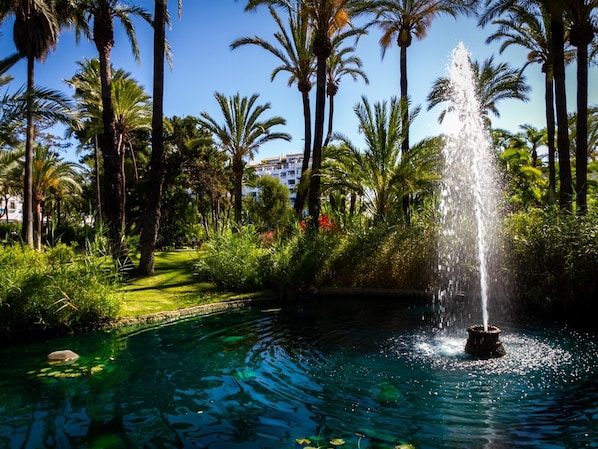 A fountain surrounded by palm trees and a clear pool.