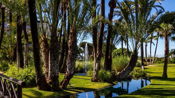 A serene garden with palm trees, a small pond, and a wooden bridge. - Banús, Playas del Duque, Beachfront Residential! (Puerto Banús)