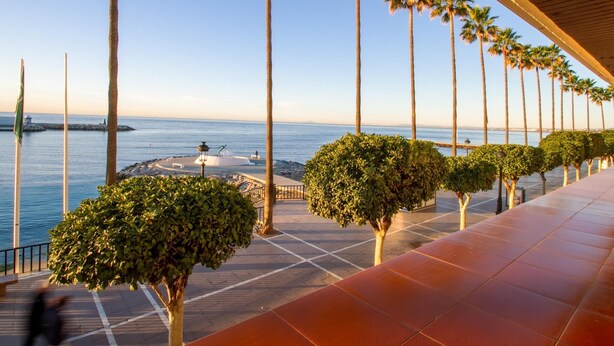 Une promenade en bord de mer bordée de palmiers, avec vue sur la mer, et une place circulaire agrémentée d’une fontaine.