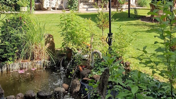 Une maison avec un jardin, un étang et un lampadaire.