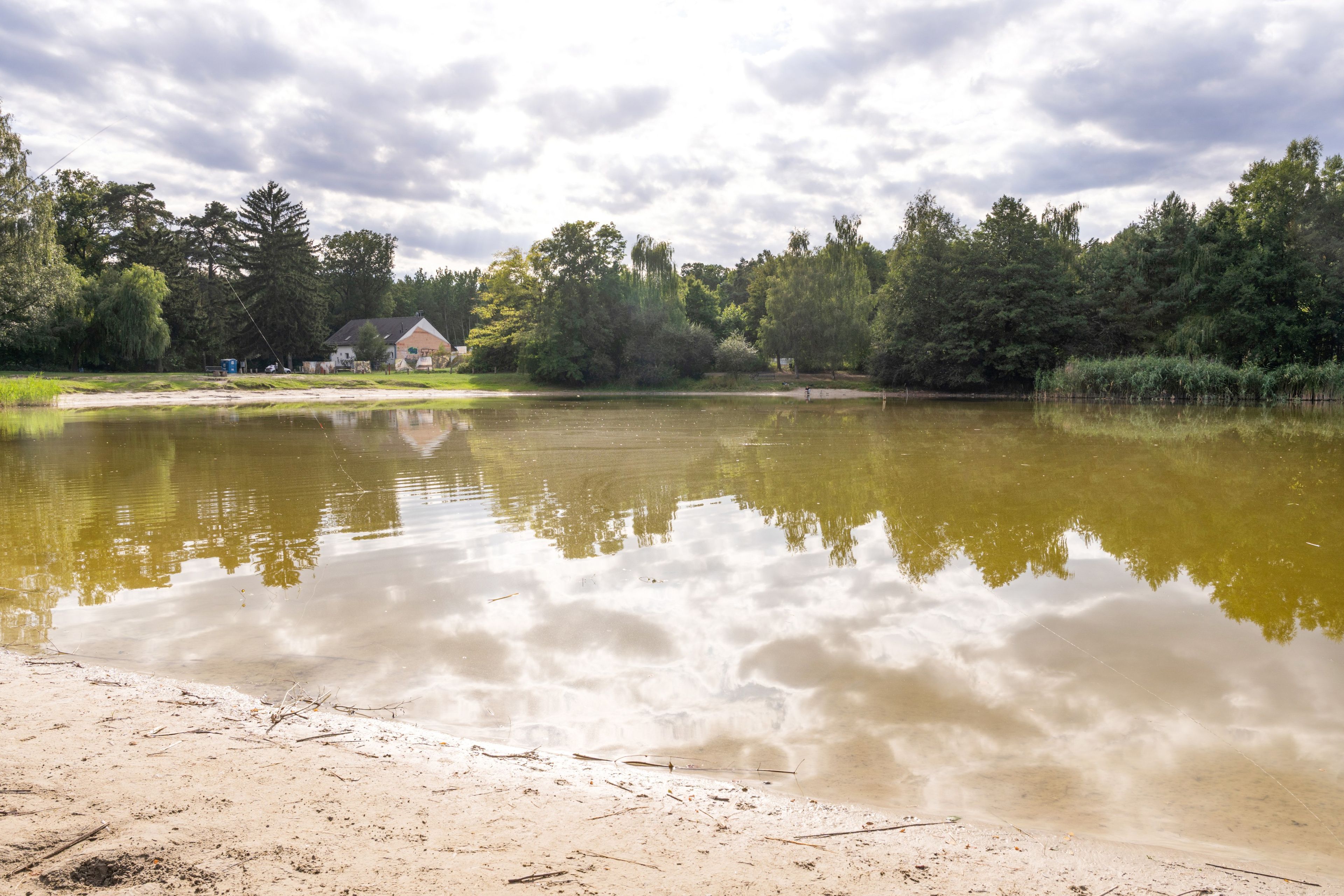 Un lac paisible, avec une maison et des arbres en arrière-plan.