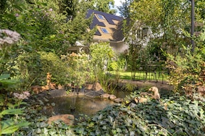 Un jardin avec un étang, des rochers et différentes espèces de plantes.