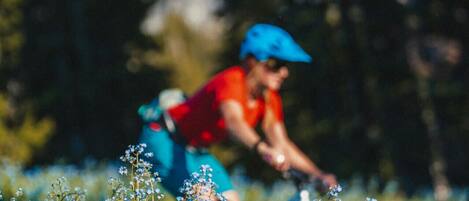 A person riding a bicycle through a field of blue flowers.