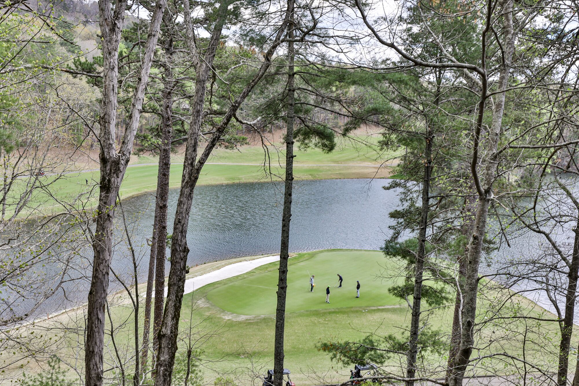 A Bears Lair |Rare Million $ Views of Lake Sconti! Mountains + Golf + Amazing Location