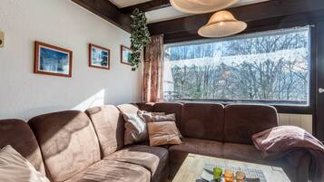 Télévision, lecteur de DVD, table de tennis de table, chaîne hi-fi