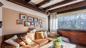 Televisión, reproductor de DVD, mesa de ping pong, estéreo