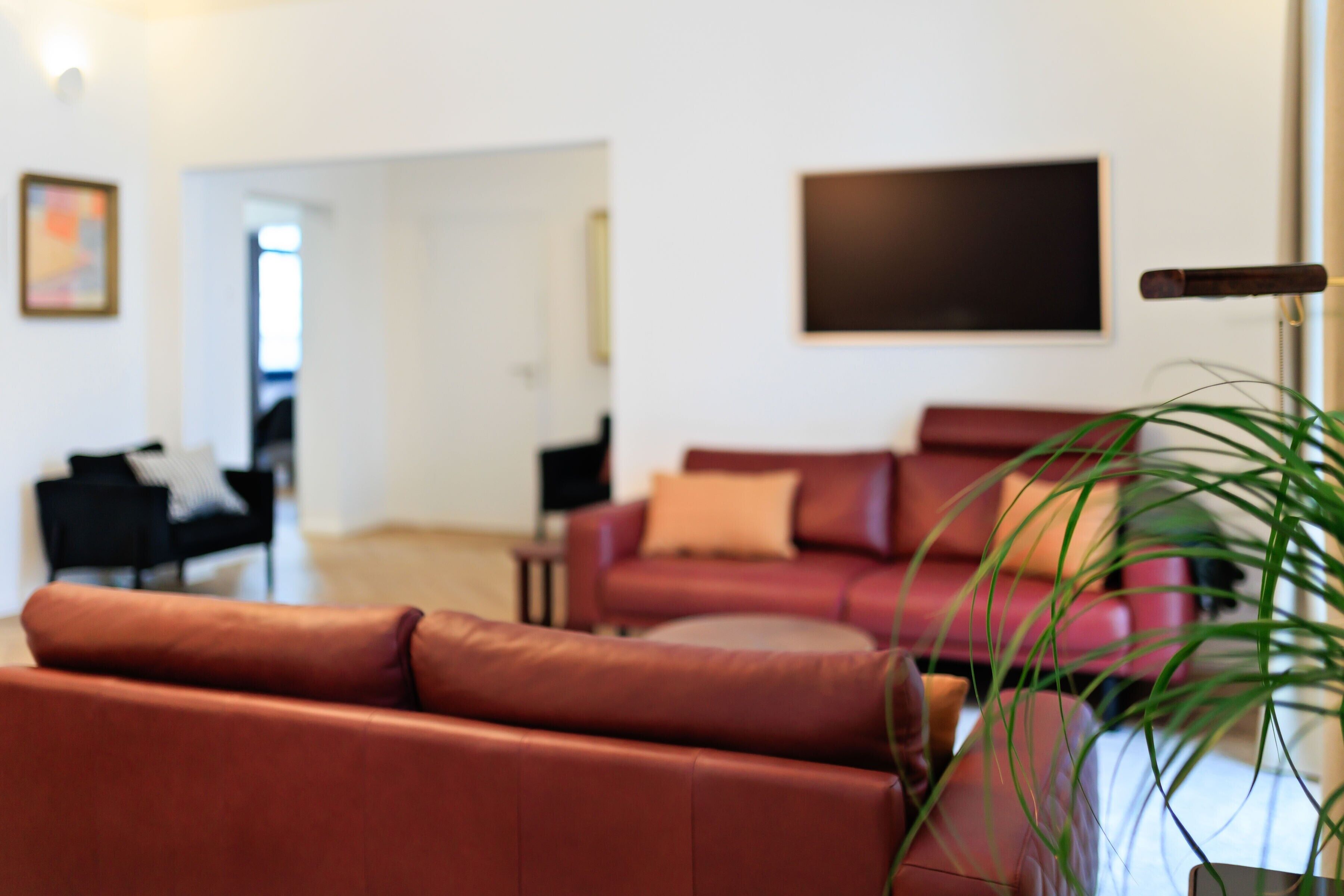 A living room with a red sofa, a TV mounted on the wall, and a potted plant.
