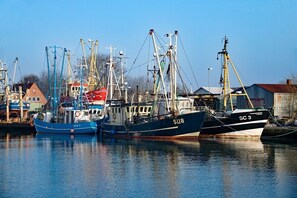 Een haven met verschillende vissersboten afgemeerd, waaronder een blauwe boot met 'NIXE 11' en een zwarte boot met 'SC 3'.