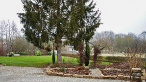 Une cour dallée avec un grand arbre, une haie et une zone herbeuse.