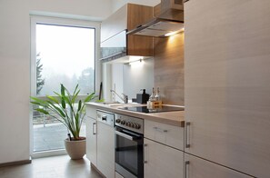 Fridge, oven, stovetop, dishwasher