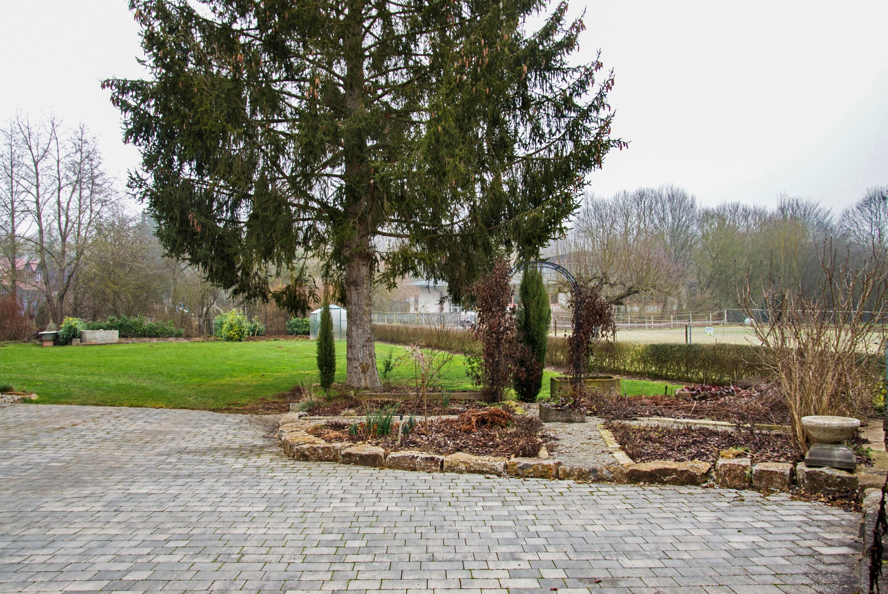 Ein gepflasterter Innenhof mit einem großen Baum, einer Hecke und einer Rasenfläche.