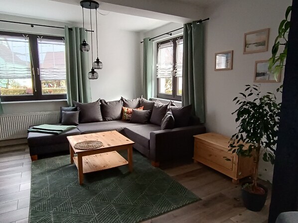Un salon avec un canapé, une table basse, une plante en pot et un radiateur.