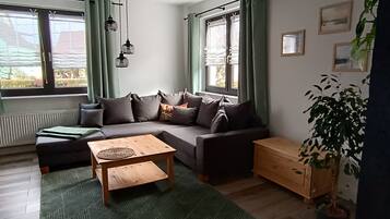 Fernseher, Stereoanlage