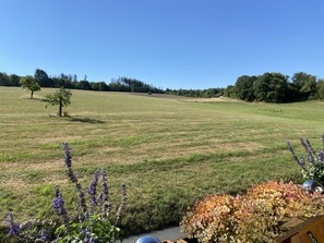 Miscellaneous - Apartment 'Ferienwohnung Taunusglück' with Private Terrace, Private Garden and Wi-Fi (Glashütten)