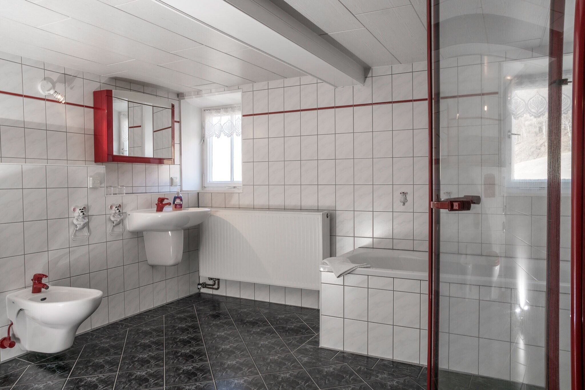 Dusche, Haartrockner, Handtücher