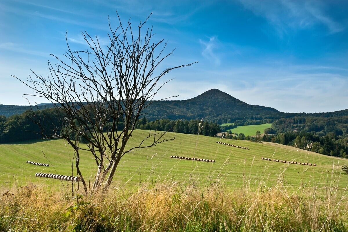 A rural landscape with a tree in the foreground, a field with hay bales, and a mountain in the background.