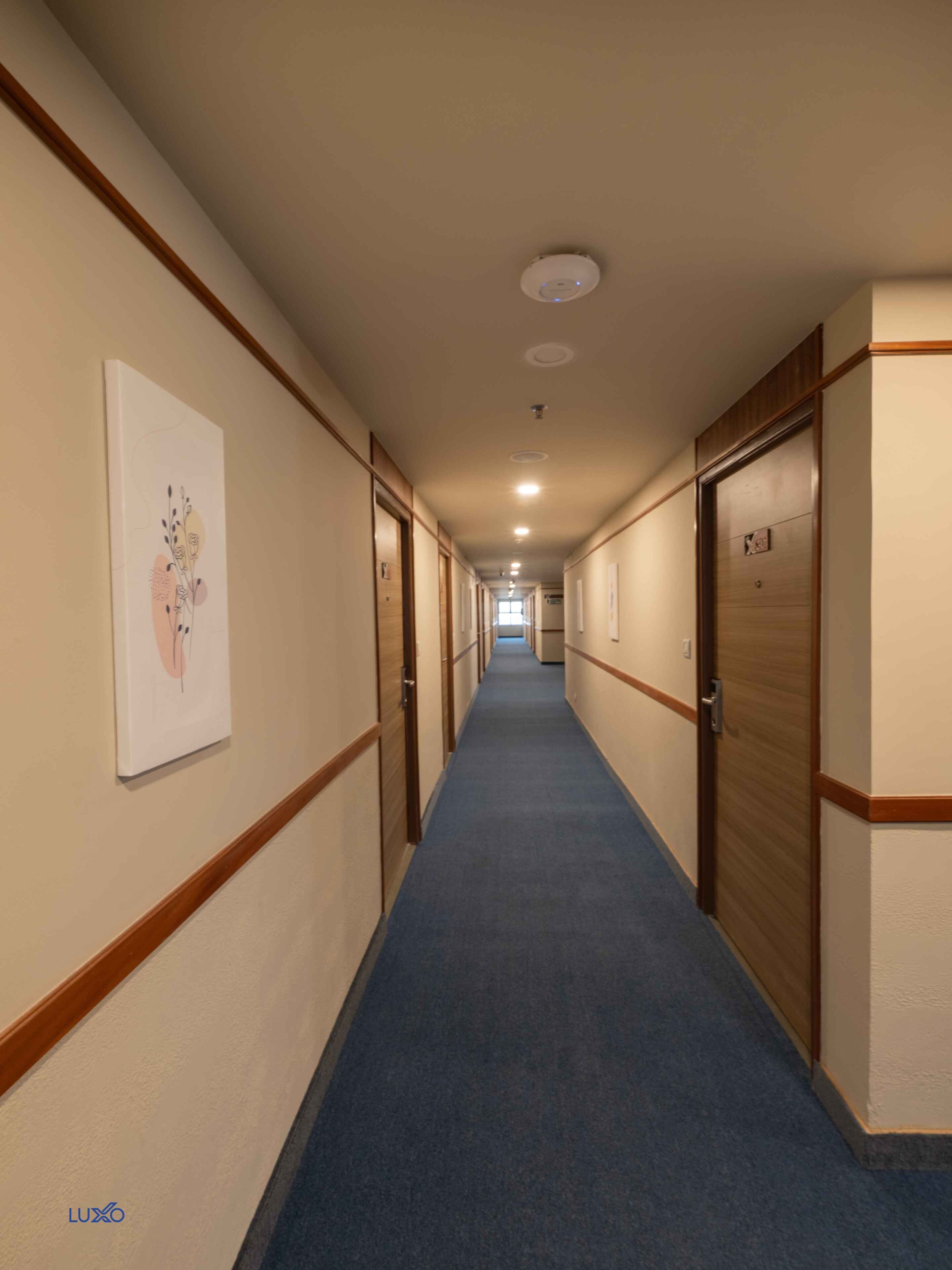 Pasillo de hotel con puertas de madera, alfombra azul y una lámpara en el techo.