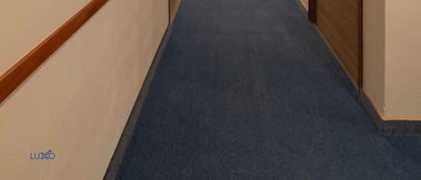 A hotel corridor with wooden doors, a blue carpet, and a ceiling light fixture.