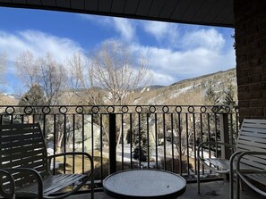 Property grounds - 3 BR Alpine Loft in Ski Lodge - 5 min bus to Vail! (Vail)