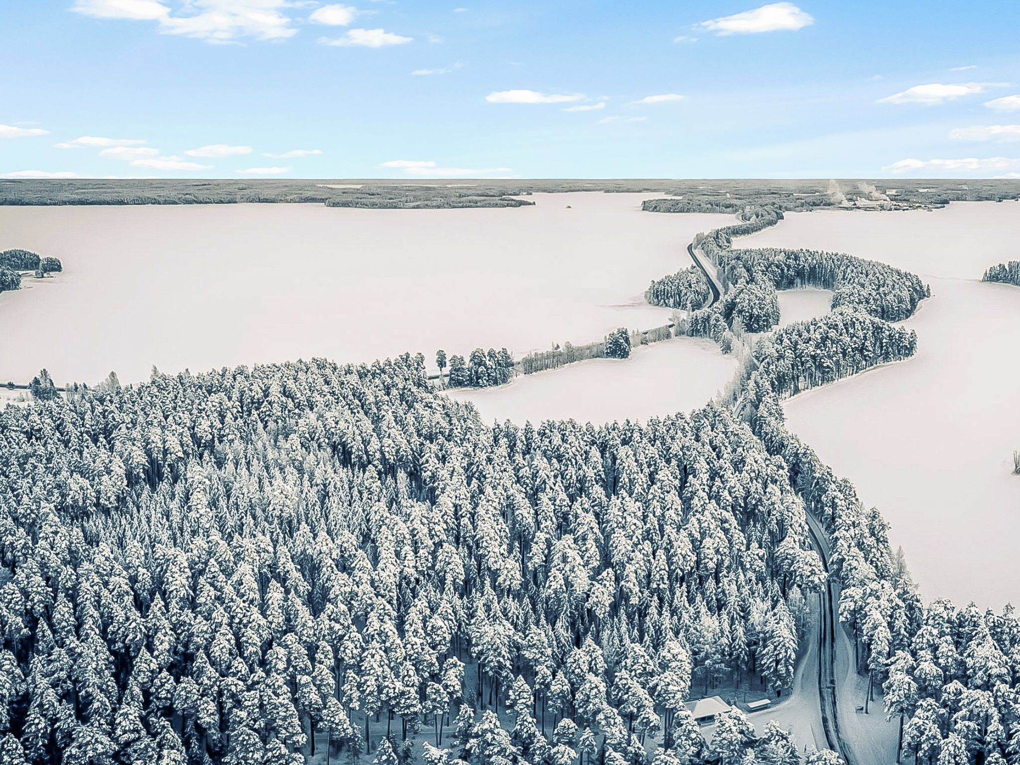 A snow-covered landscape with a dense forest and a winding road.