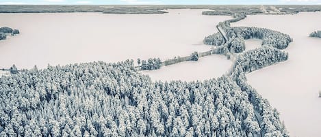 A snow-covered landscape with a dense forest and a winding road.