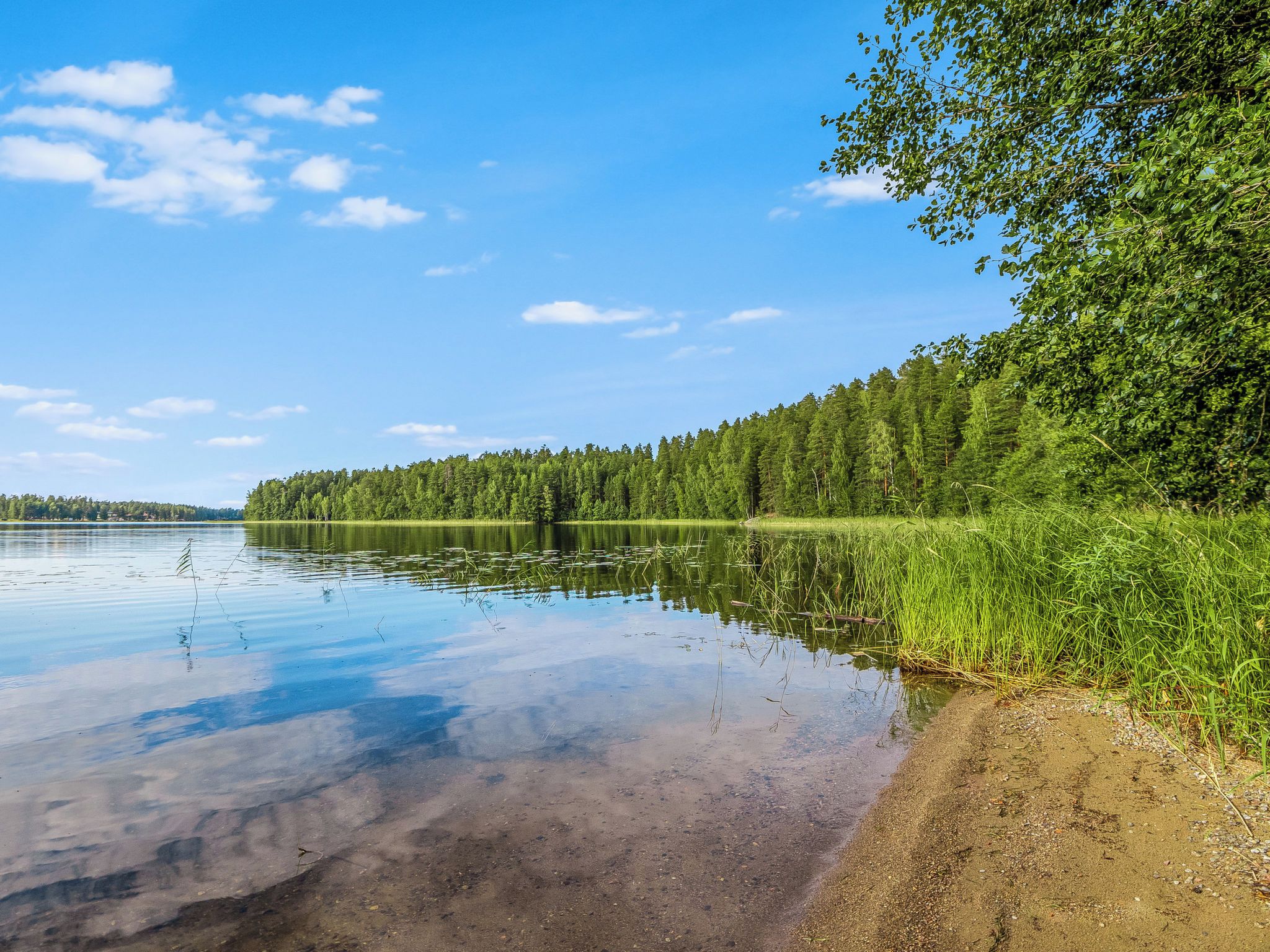 A calm lake with a forested shoreline and clear sky.