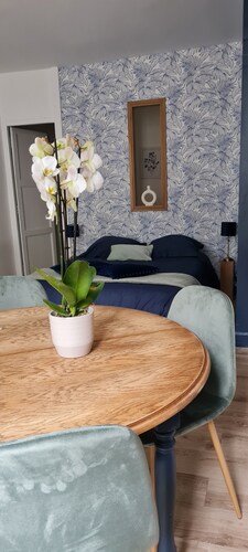 Studio Familial en Centre-ville à 5 Minutes du Château de Blois